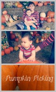 Collage 2013-10-19 21_45_39